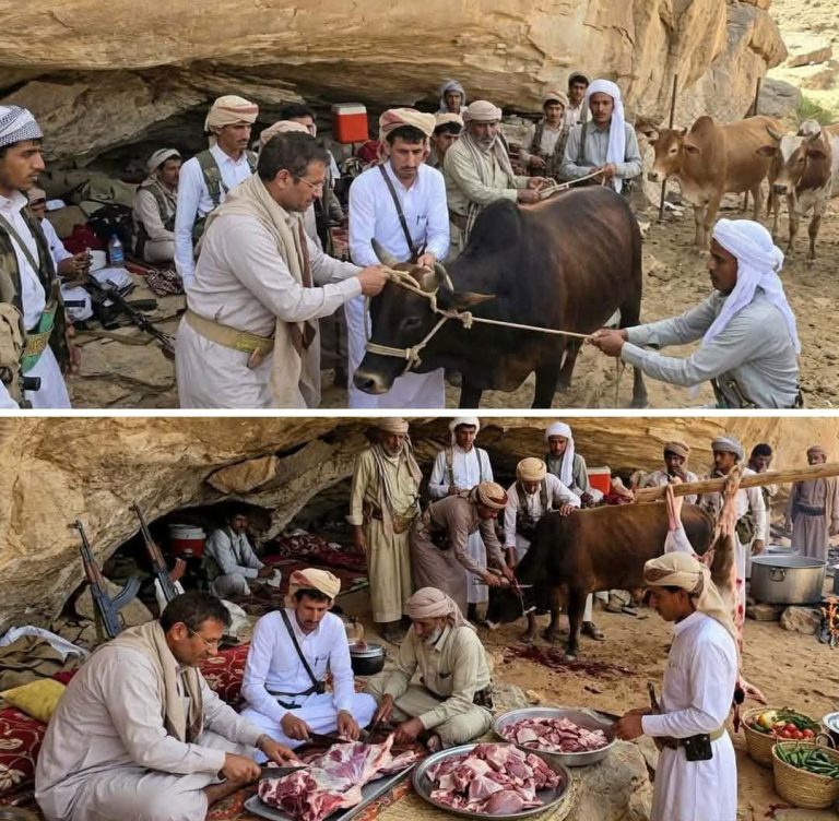 ذبح 63 ثور يوم أمس في مخيم “سمية الزبيري”.. و800 ثور في الأيام الماضية